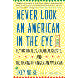 Never Look an American in the Eye: A Memoir of Flying Turtles, Colonial Ghosts, and the Making of a Nigerian America