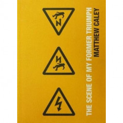 The Scene Of Mal My Former Triumph