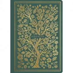 ESV Illuminated Scripture Journal: Jeremiah (Paperback)