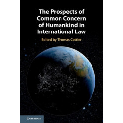 The Prospects of Common Concern of Humankind in International Law