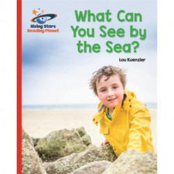 Reading Planet - What Can You See by the Sea? - Red B: Galaxy