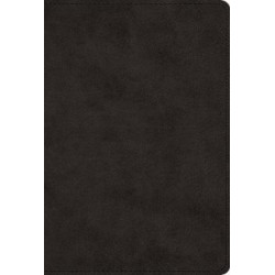 The Greek New Testament, Produced at Tyndale House, Cambridge (TruTone, Black)