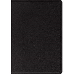 ESV Super Giant Print Bible
