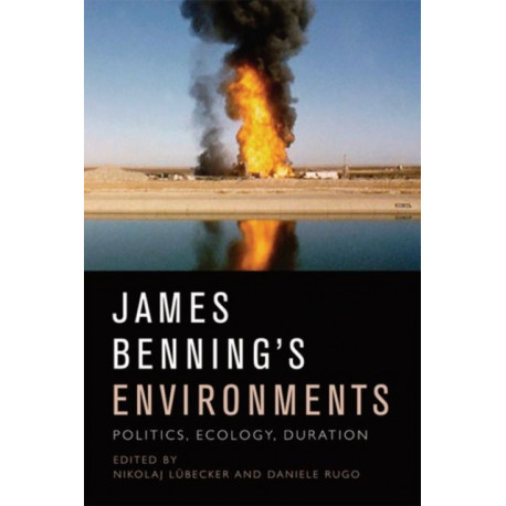 James Benning's Environments: Politics, Ecology, Duration