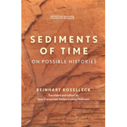 Sediments of Time: On Possible Histories