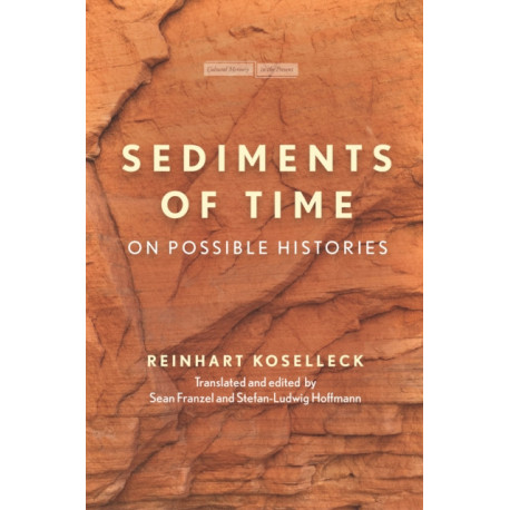 Sediments of Time: On Possible Histories