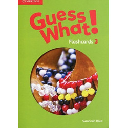 Guess What! Level 3 Flashcards (pack of 75) British English