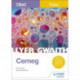 WJEC GCSE Chemistry Workbook (Welsh Language Edition)