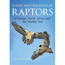 Flight Identification of Raptors of Europe, North Africa and the Middle East