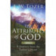 Attributes Of God Volume 1, The