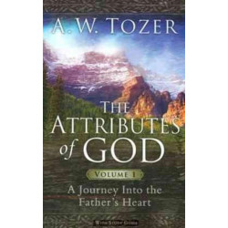 Attributes Of God Volume 1, The