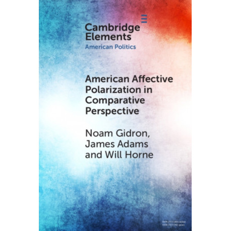 American Affective Polarization in Comparative Perspective