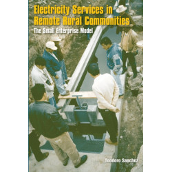 Electricity Services in Remote Rural Communities: The Small Enterprise Model
