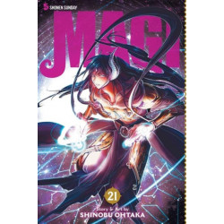 Magi: The Labyrinth of Magic, Vol. 21: The Labyrinth of Magic