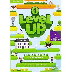Level Up Level 1 Flashcards