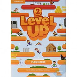Level Up Level 2 Flashcards