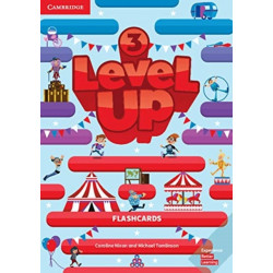 Level Up Level 3 Flashcards