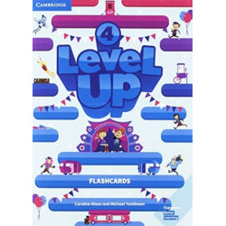 Level Up Level 4 Flashcards