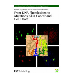 From DNA Photolesions to Mutations, Skin Cancer and Cell Death