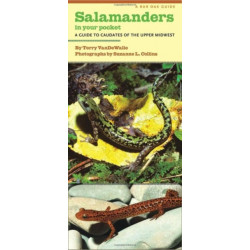 Salamanders in Your Pocket: A Guide to Caudates of the Upper Midwest