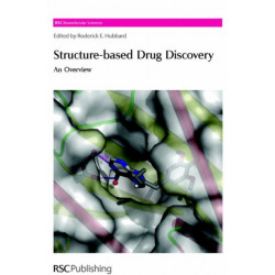 Structure-Based Drug Discovery: An Overview