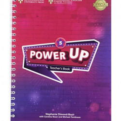 Power Up Level 5 Teacher's Book