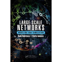Large Scale Networks: Modeling and Simulation