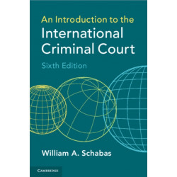 An Introduction to the International Criminal Court