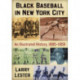Black Baseball in New York City: An Illustrated History, 1885-1959