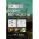 Marine Biomedicine: From Beach to Bedside
