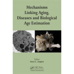 Mechanisms Linking Aging, Diseases and Biological Age Estimation