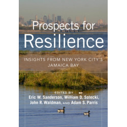 Prospects for Resilience: Insight from New York City's Jamaica Bay
