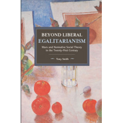 Beyond Liberal Egalitarianism: Marx and Normative Social Theory in the Twenty-First Century