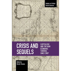 Crisis And Sequels: Capitalism and the New Economic Turmoil Since 2007
