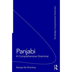 Panjabi: A Comprehensive Grammar