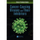 Cancer-Causing Viruses and Their Inhibitors