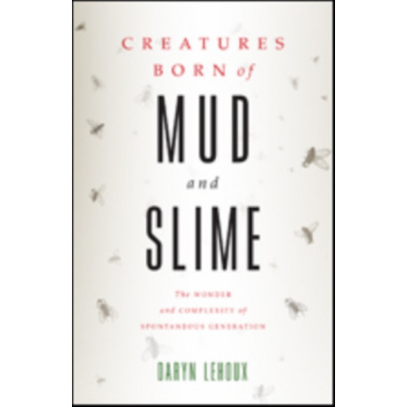 Creatures Born of Mud and Slime: The Wonder and Complexity of Spontaneous Generation