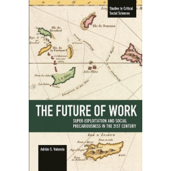 The Future Of Work: Super-exploitation And Social Precariousness In The 21st Century: Studies in Critical Social Science Volume 81