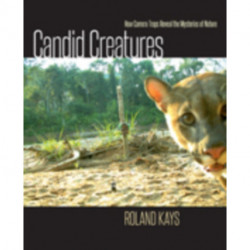 Candid Creatures: How Camera Traps Reveal the Mysteries of Nature