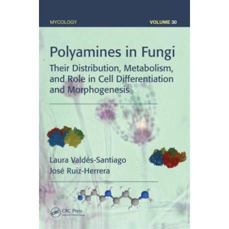 Polyamines in Fungi: Their Distribution, Metabolism, and Role in Cell Differentiation and Morphogenesis
