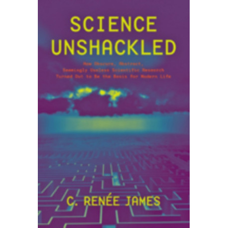 Science Unshackled: How Obscure, Abstract, Seemingly Useless Scientific Research Turned Out to Be the Basis for Modern Life