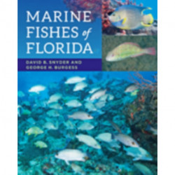 Marine Fishes of Florida