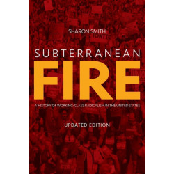 Subterranean Fire: A History of Working-Class Radicalism in the United States