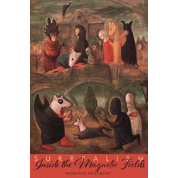 Surrealism: Inside the Magnetic Fields