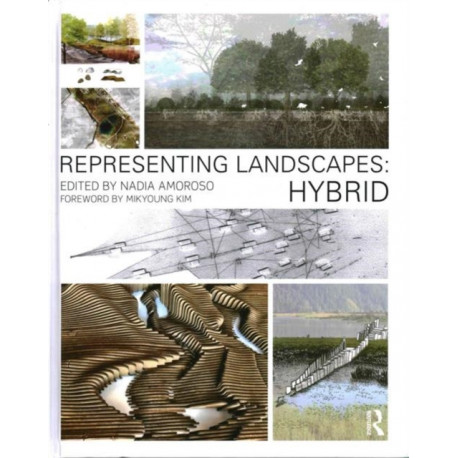Representing Landscapes: Hybrid: Hybrid