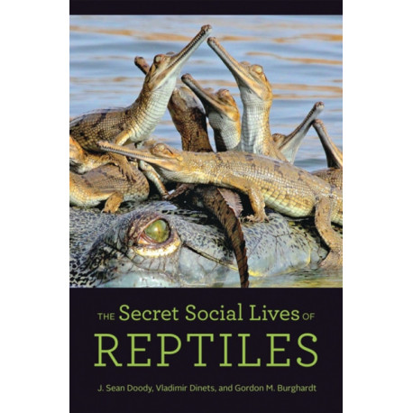 The Secret Social Lives of Reptiles