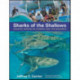 Sharks of the Shallows: Coastal Species in Florida and the Bahamas