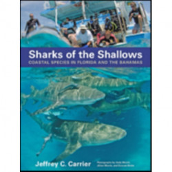 Sharks of the Shallows: Coastal Species in Florida and the Bahamas
