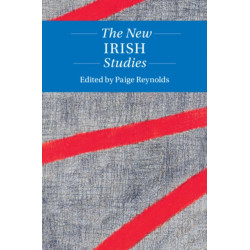 The New Irish Studies