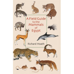 A Field Guide to the Mammals of Egypt